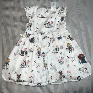 Disney Princess dress. Lightly worn